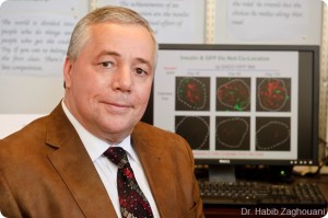 Habib Zaghouani propone curar la diabetes con células madre